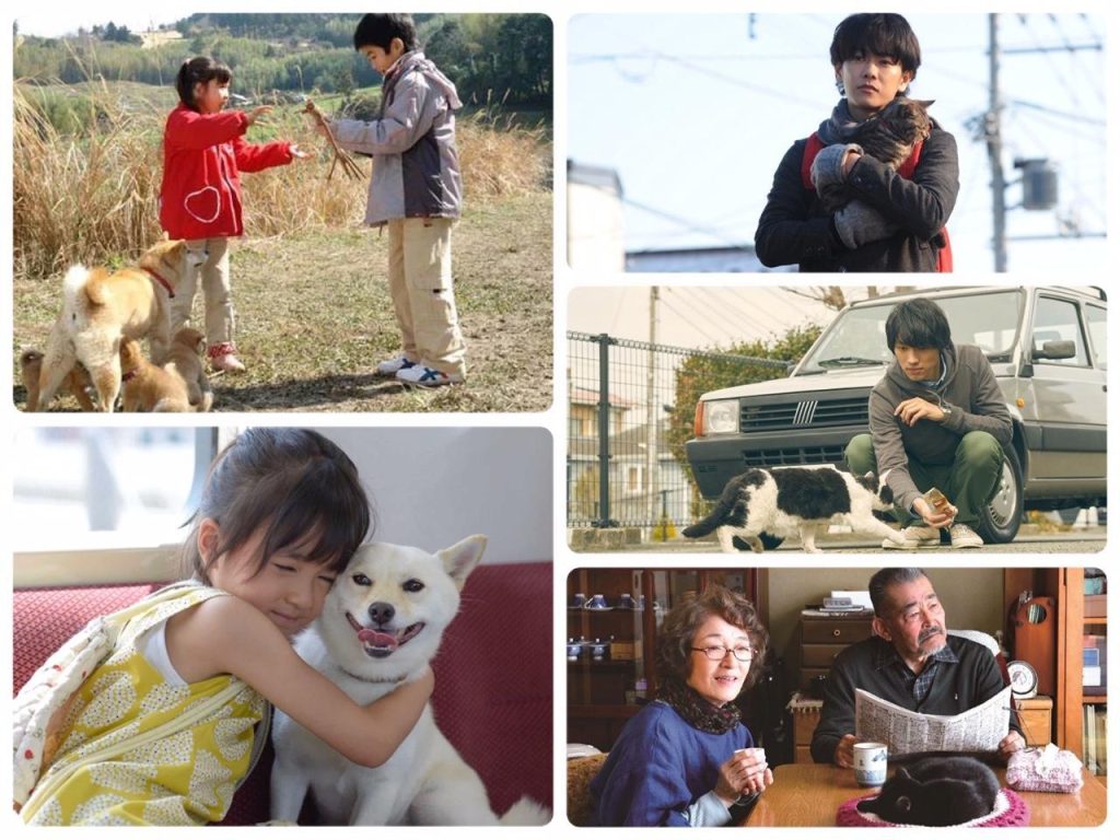 หนังญี่ปุ่นเกี่ยวกับสัตว์เลี้ยง